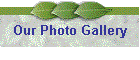 Our Photo Gallery
